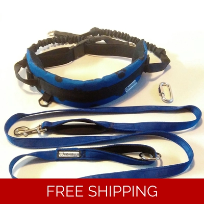 MM DOGGEAR, Dog Belt With Fixed Shock Lines + Free Dog Lead with Traffic Handle £19-00